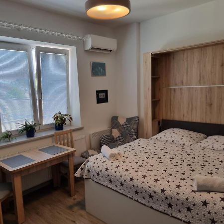 Garsoniera Dukla 289 Appartement Decin Buitenkant foto